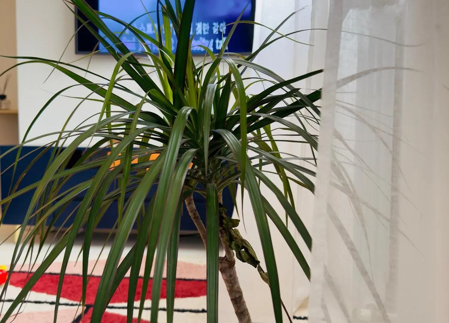 Felci Blu Milan B&B Metro Verde Lejlighed